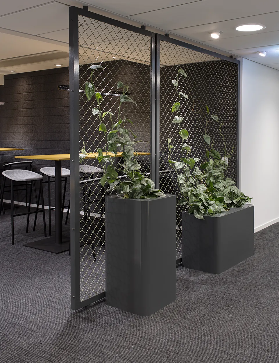An office beyond your imagination 28
