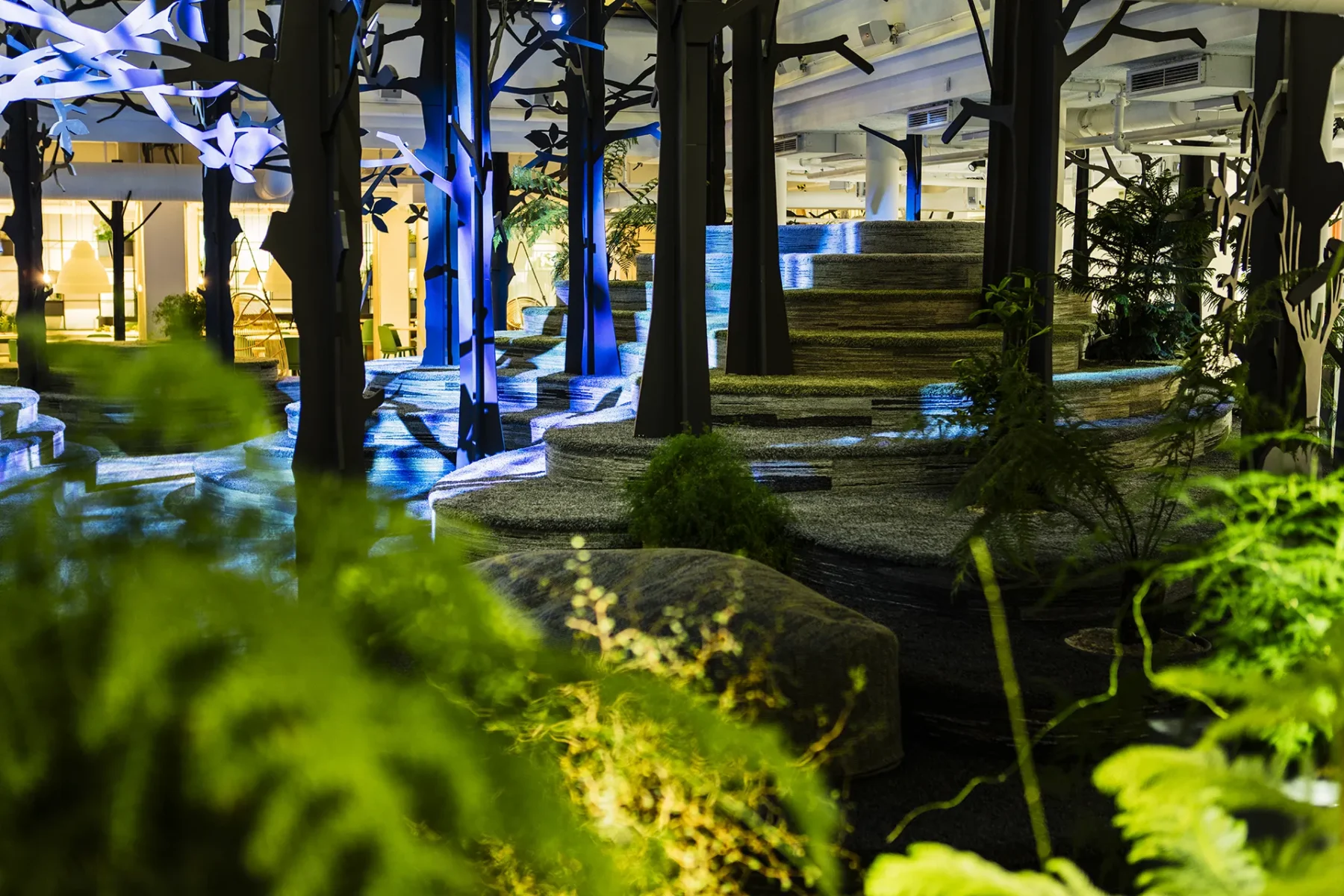 We planted a seed in a concrete jungle — King – The Forest